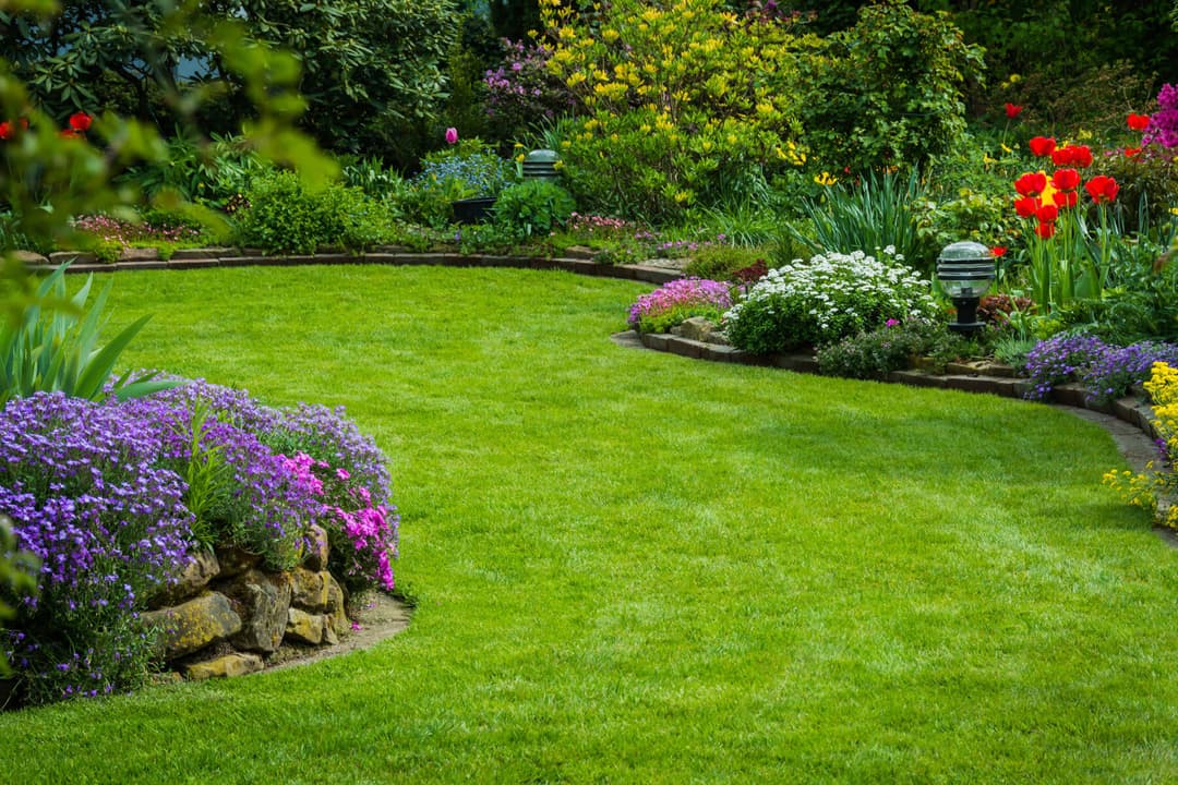 Manicured lawn with stone-edged perennial beds