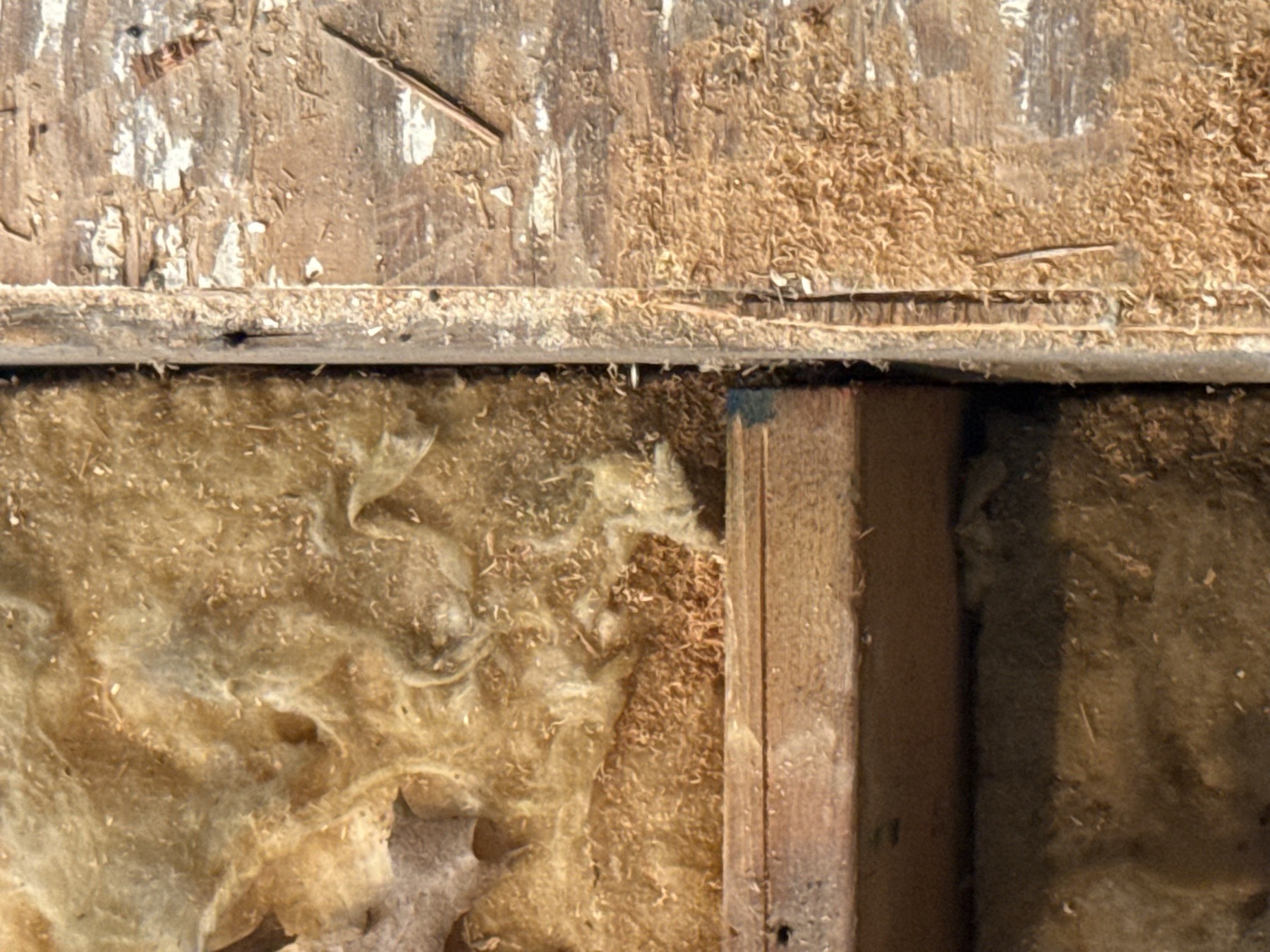 Close view of floor repair and framing work